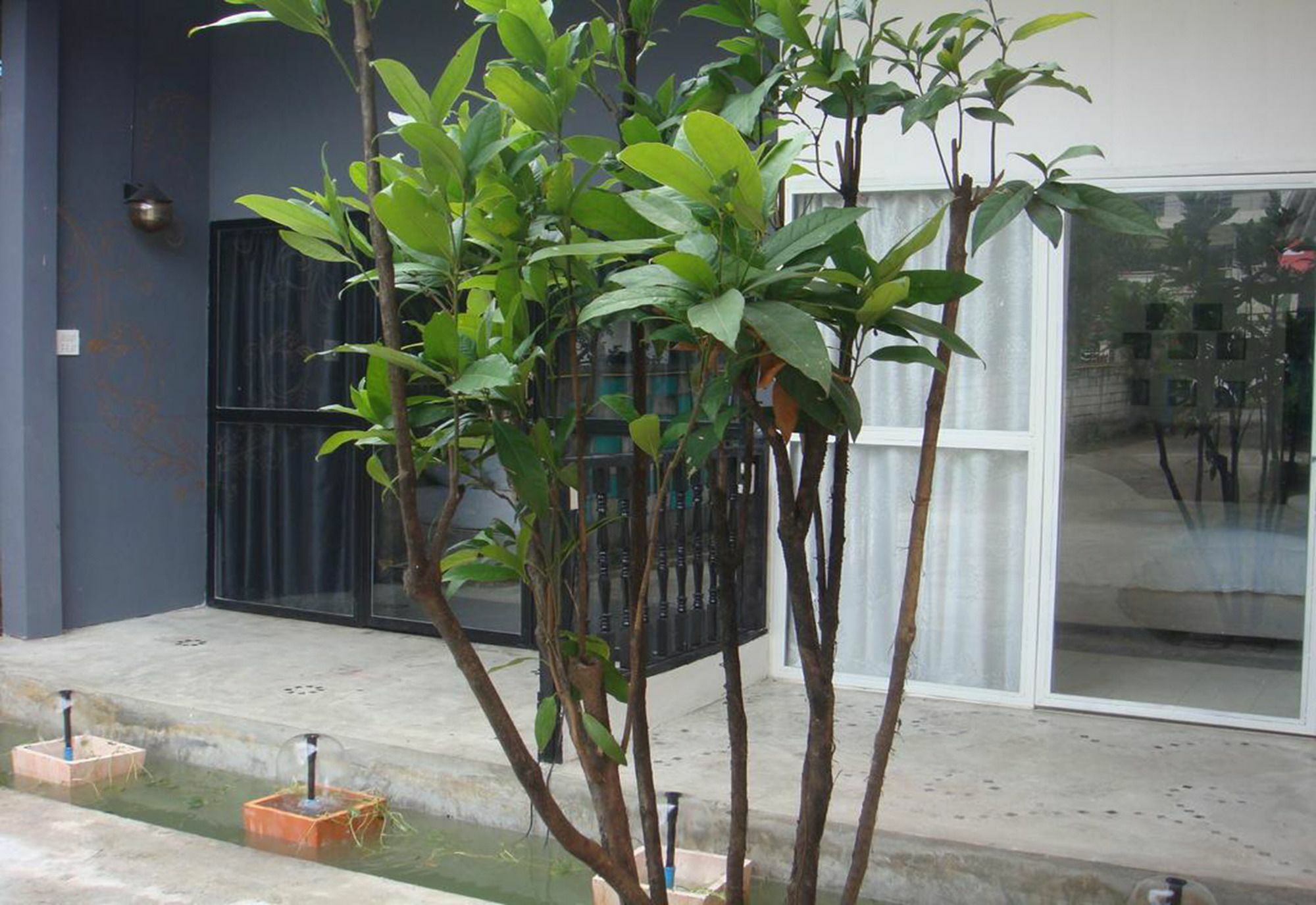 Lodge Indie House @ Nimman Chiang Mai