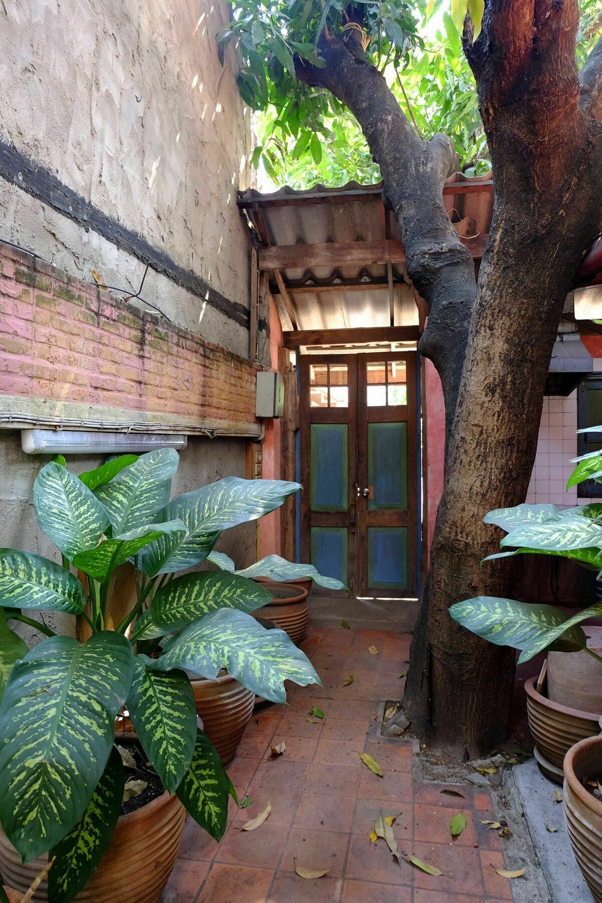 Pim's Bb Guest house Chiang Mai