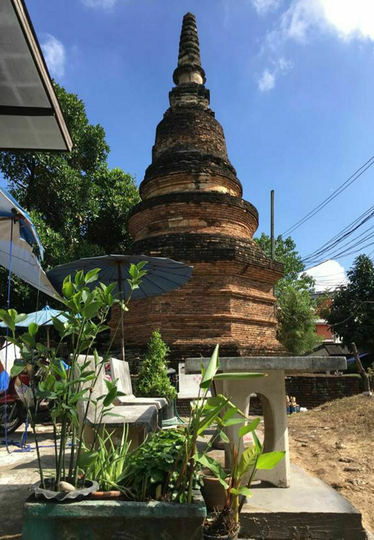 Tiger House (adults Only) Guest house