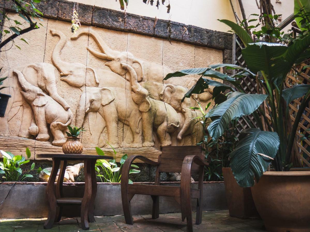 Cool Bed & Breakfast Chiang Mai