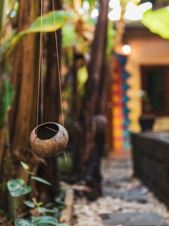 Cool Chiang Mai
