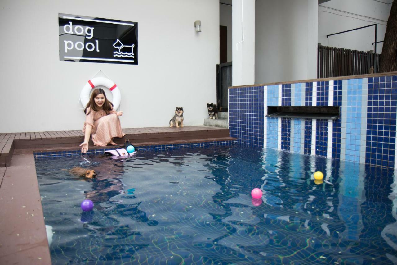 Ketawa Pet Friendly Chiang Mai