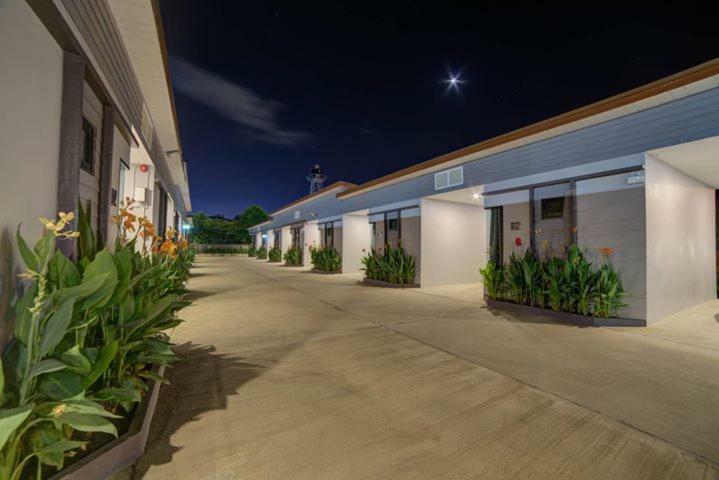 The Sleep Hotel *