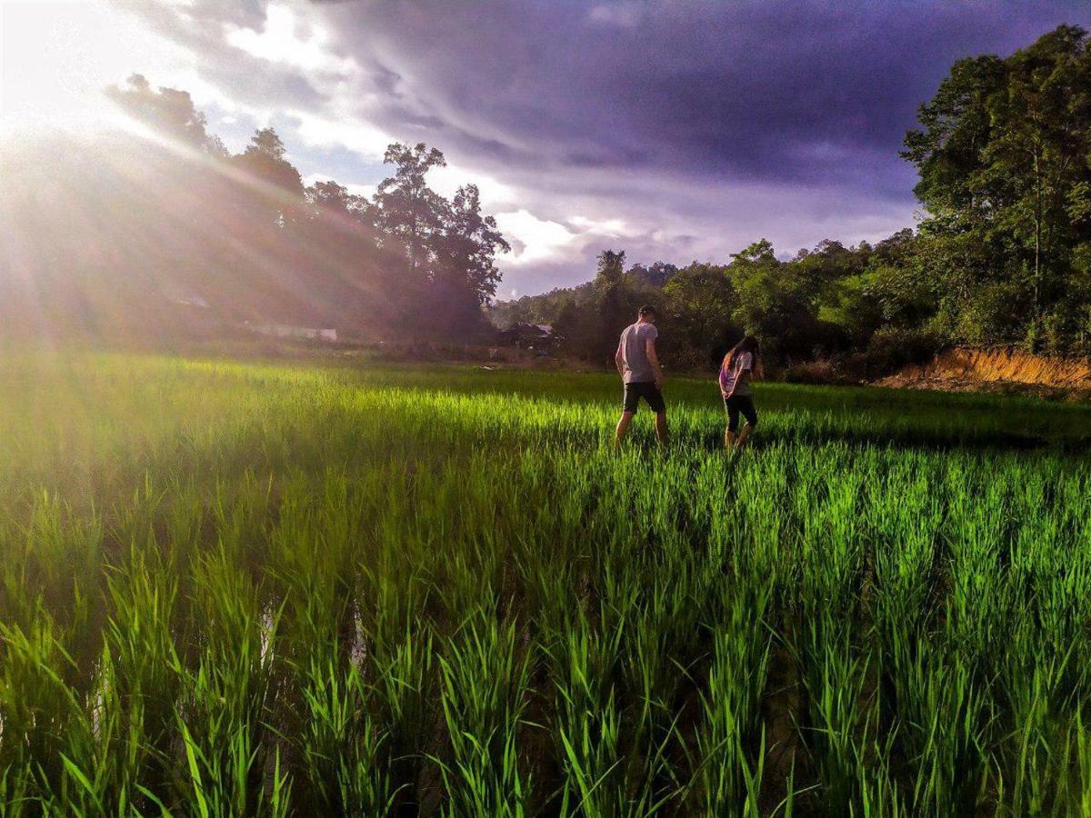 Bed & Breakfast Cool Chiang Mai