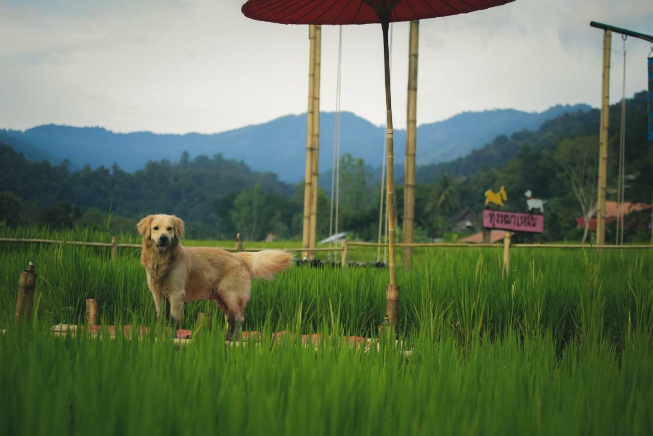 Bulunburi Chiang Mai