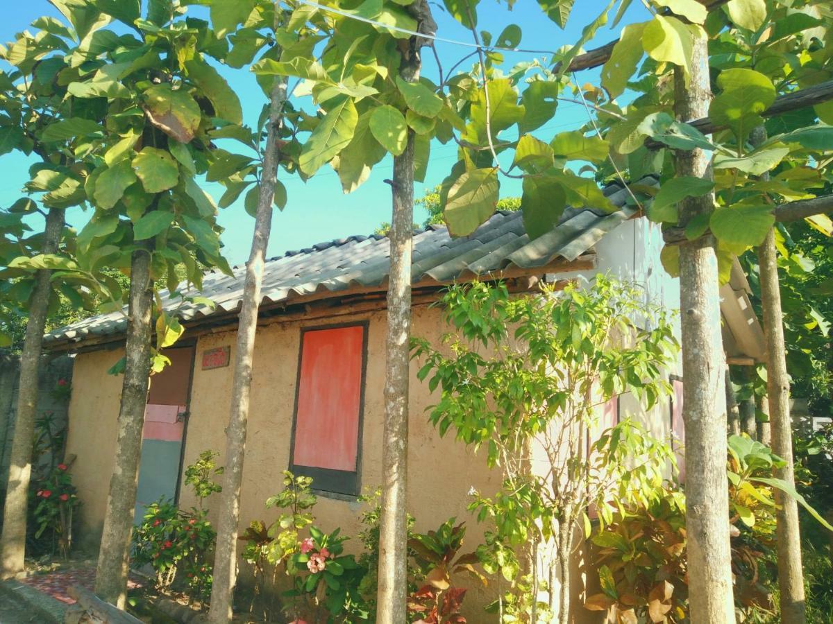 Tiddin Chiang Mai