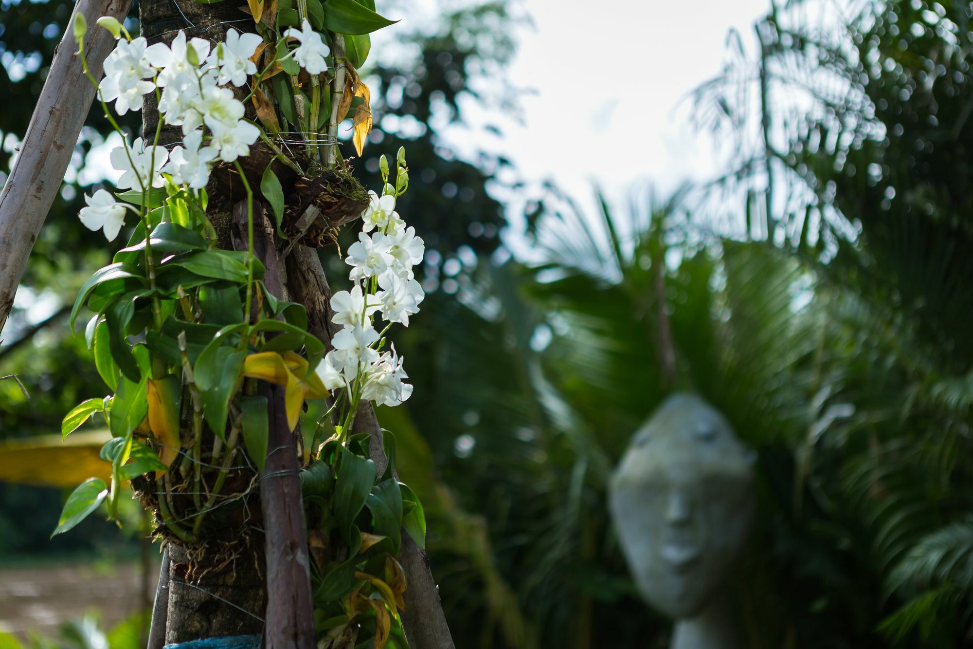 River Art Hotel Chiang Mai