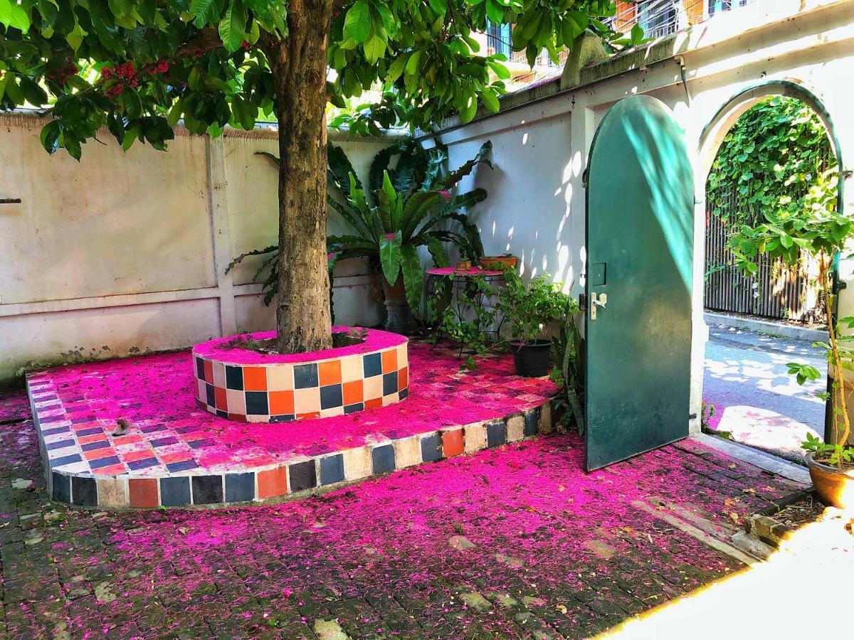 Mammoth Art Pool In Old Chiang Mai