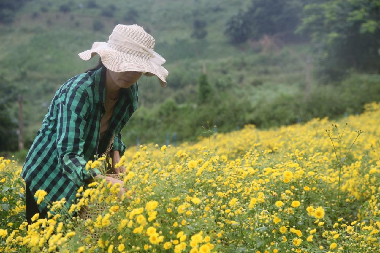 Mori Natural Farm Chiang Mai