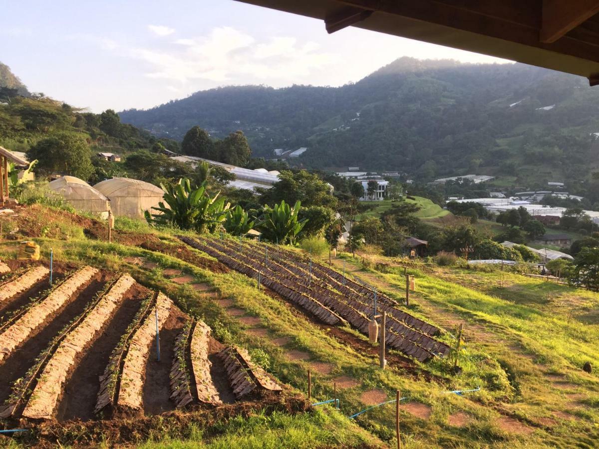 Mori Natural Farm *