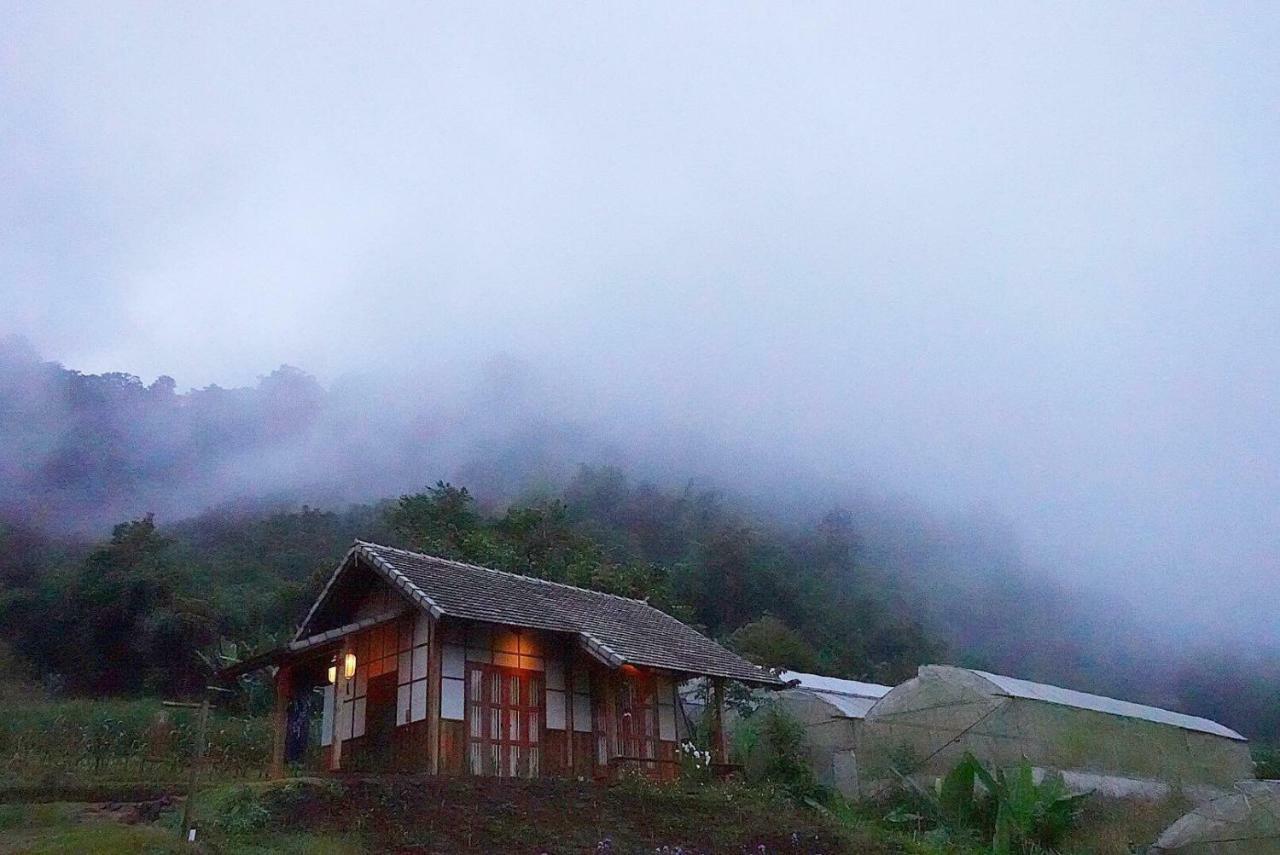 Mori Natural Farm Farm stay