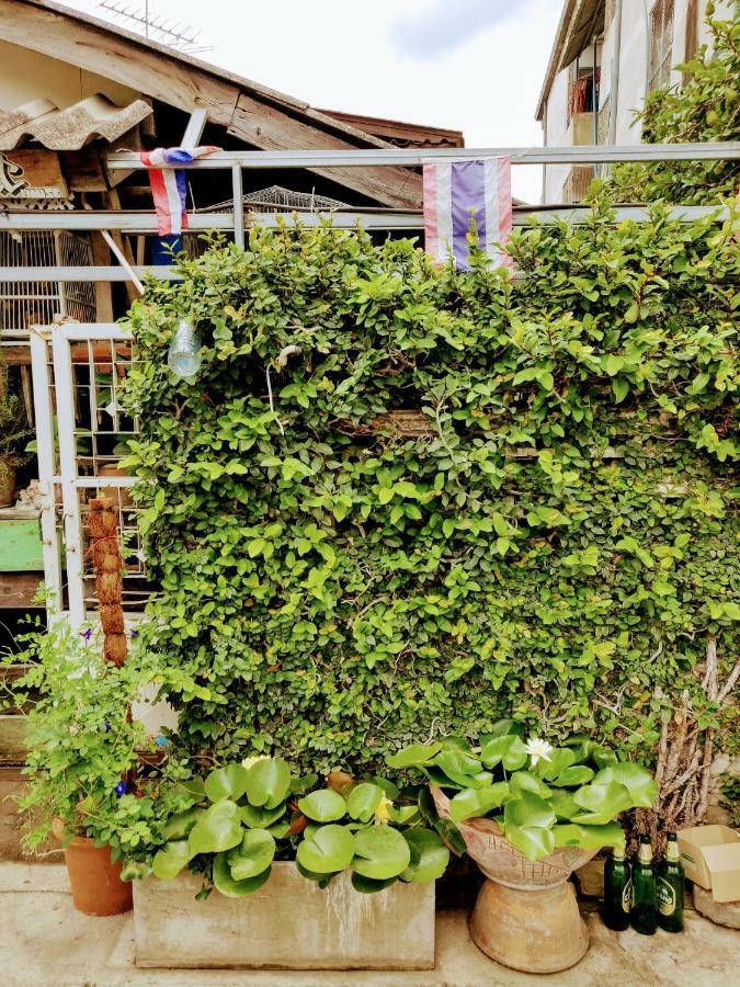 Giant House * Chiang Mai