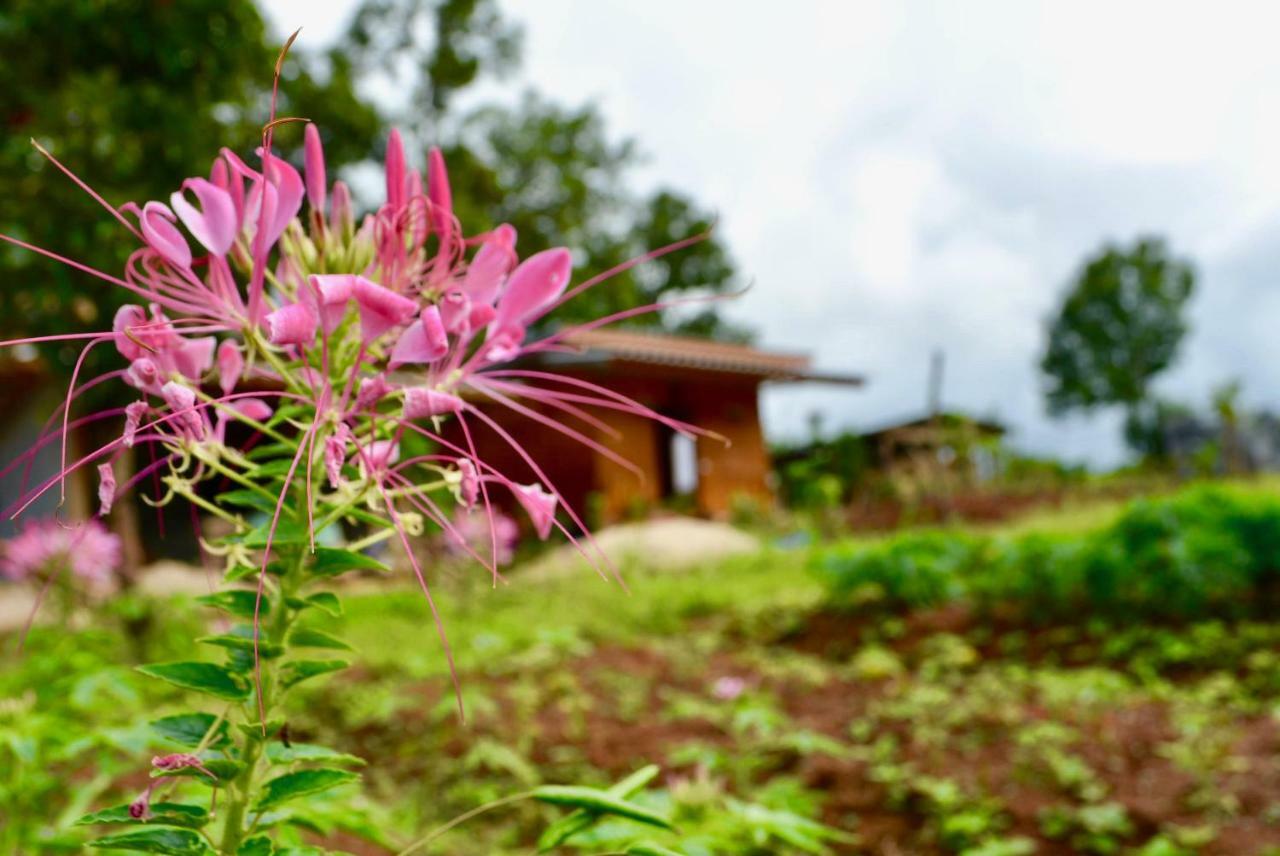 Hospedagem domiciliar Mint Homestay