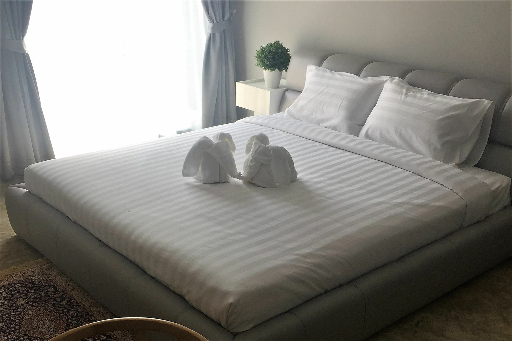 Hotel 3q Chiangmai 3*