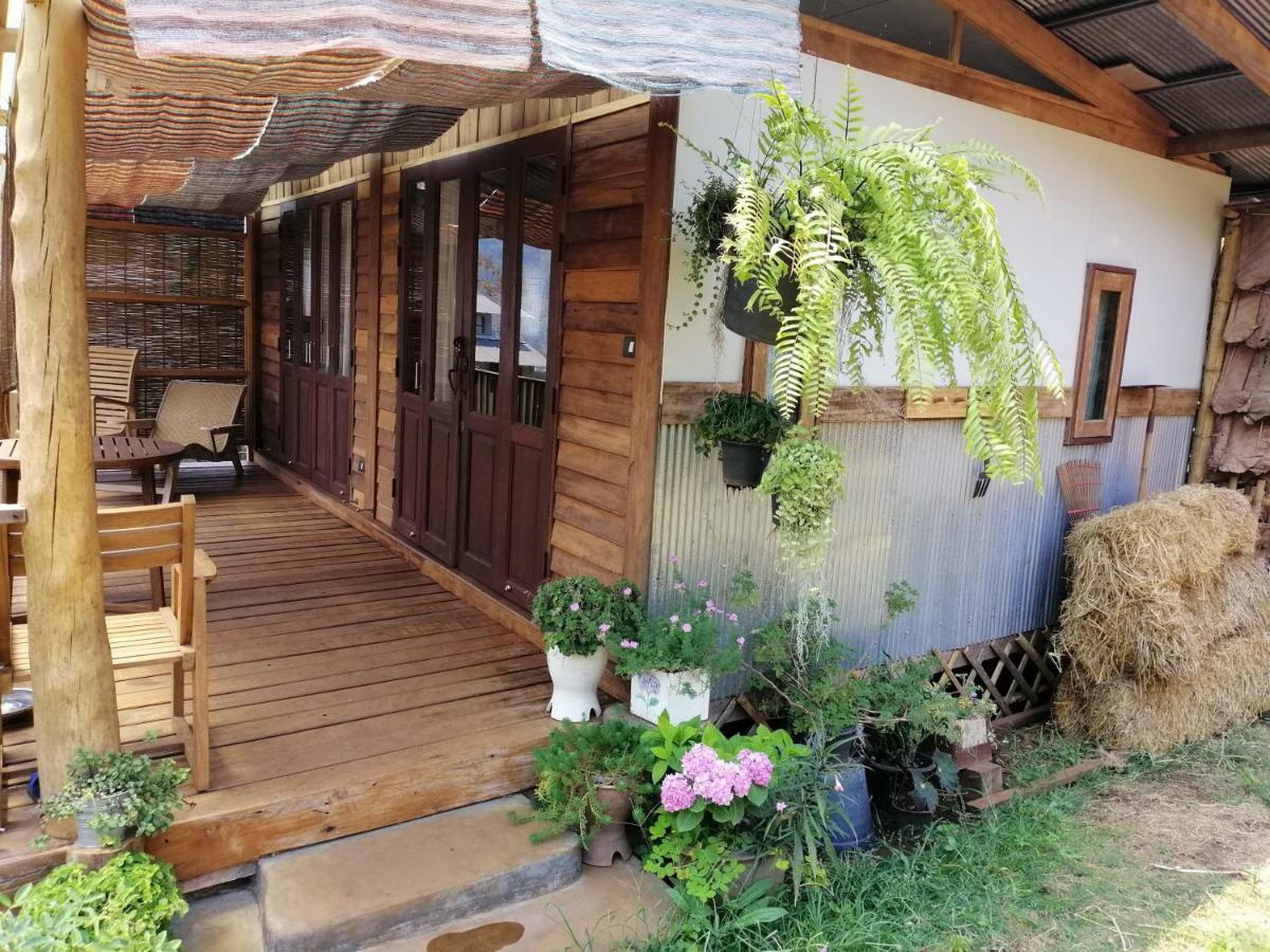 Mori Natural Farm Farm stay Chiang Mai