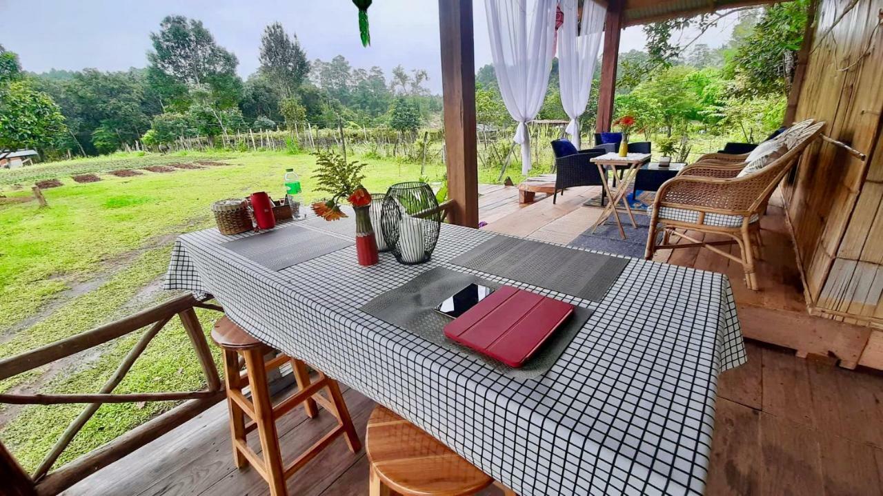 Hospedagem domiciliar Mint Homestay *