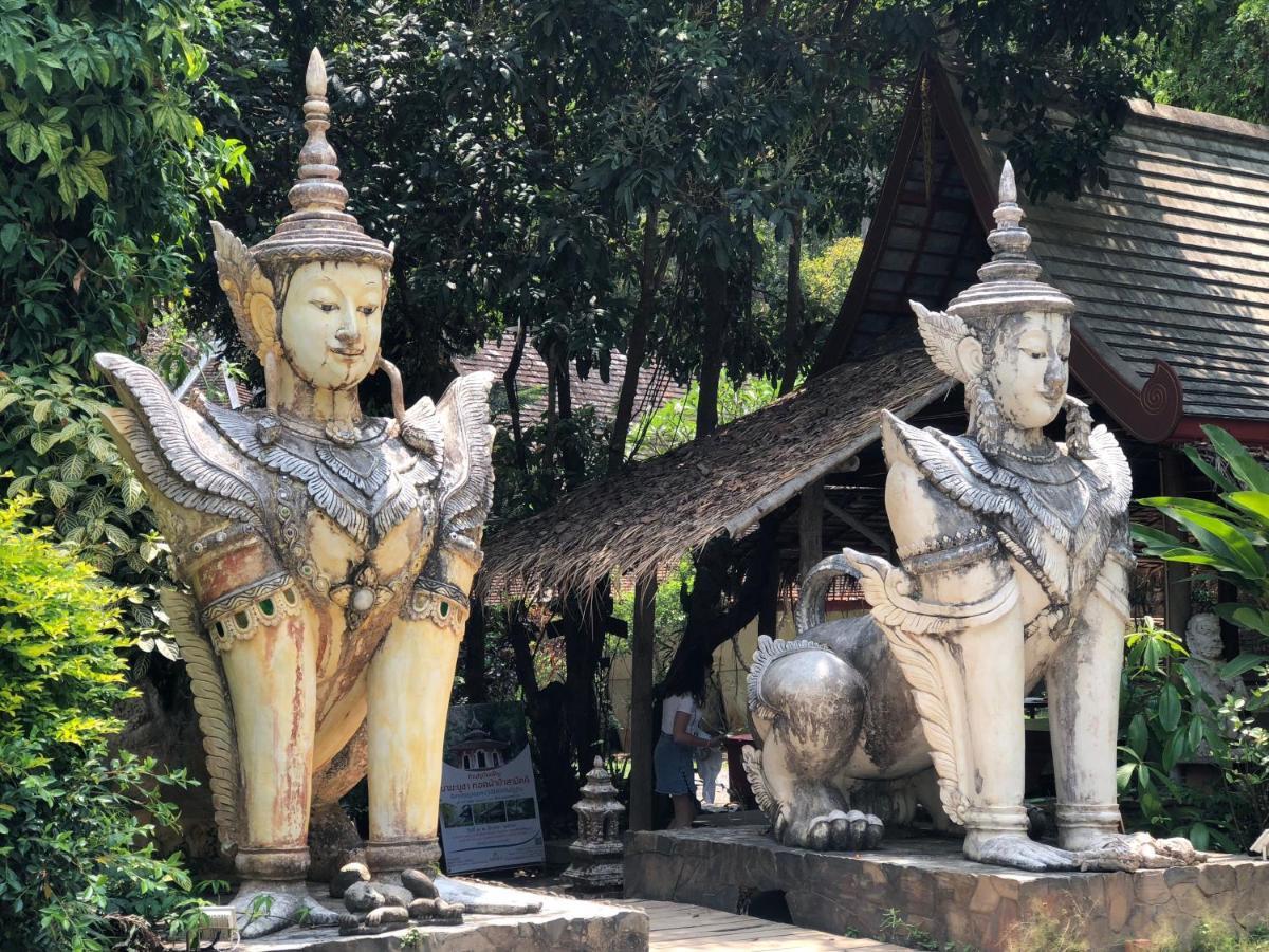 Daizy House * Chiang Mai