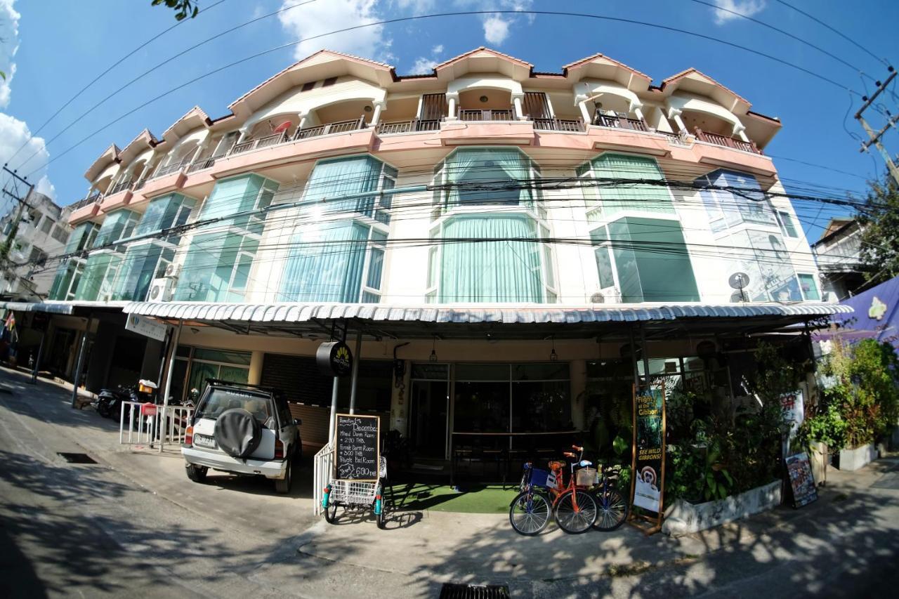 Daizy House Chiang Mai