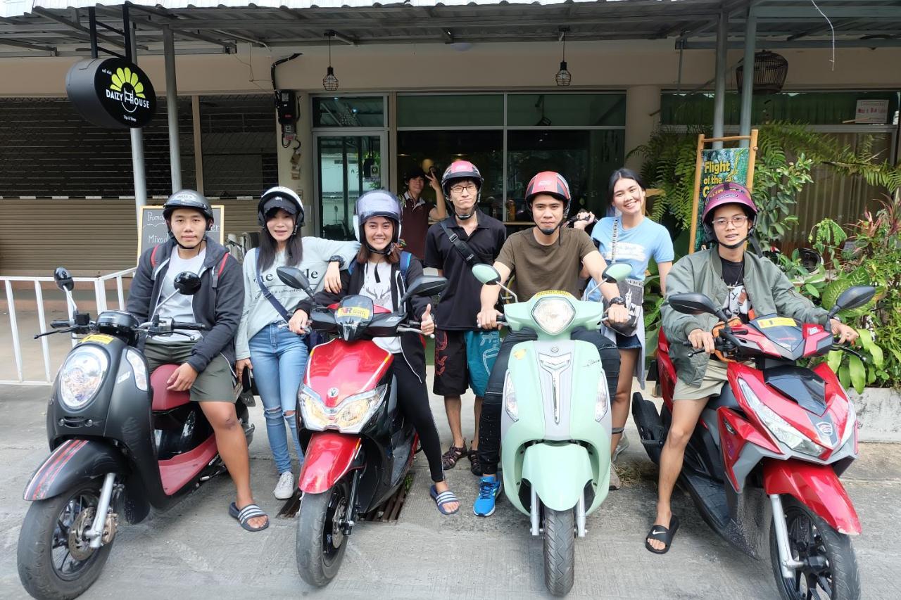 Daizy House Hostel *