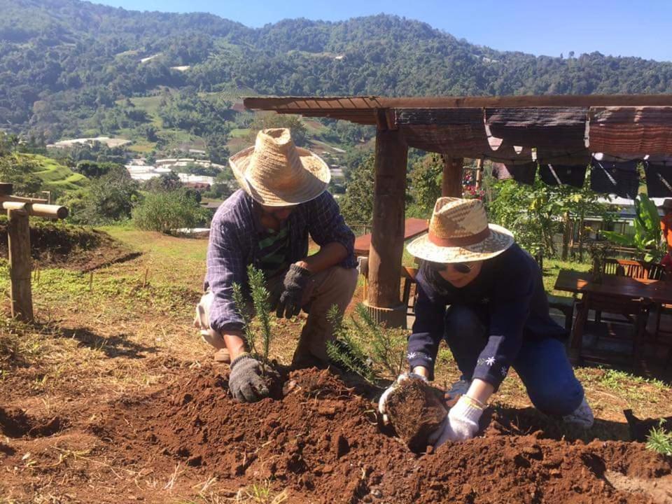 Mori Natural Farm * Chiang Mai