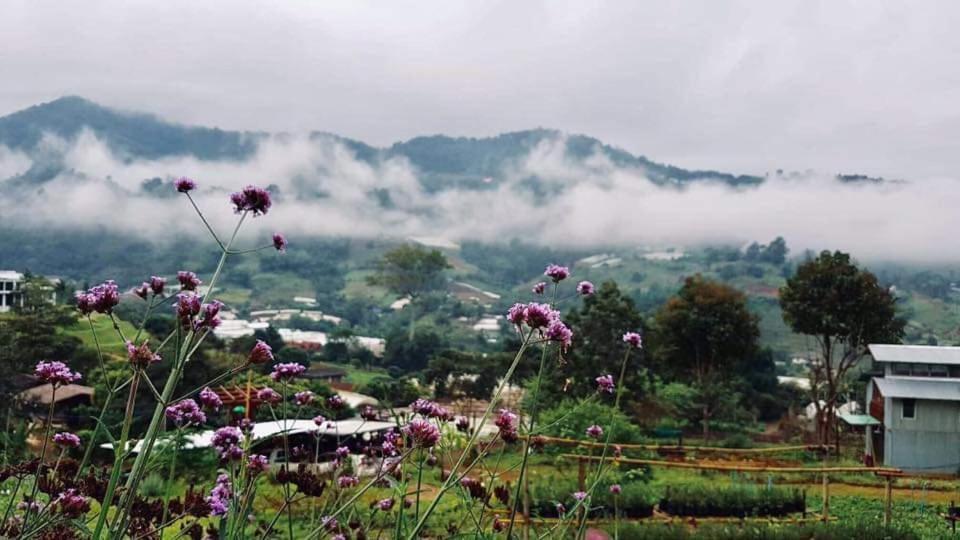 Mori Natural Farm Farm stay Chiang Mai