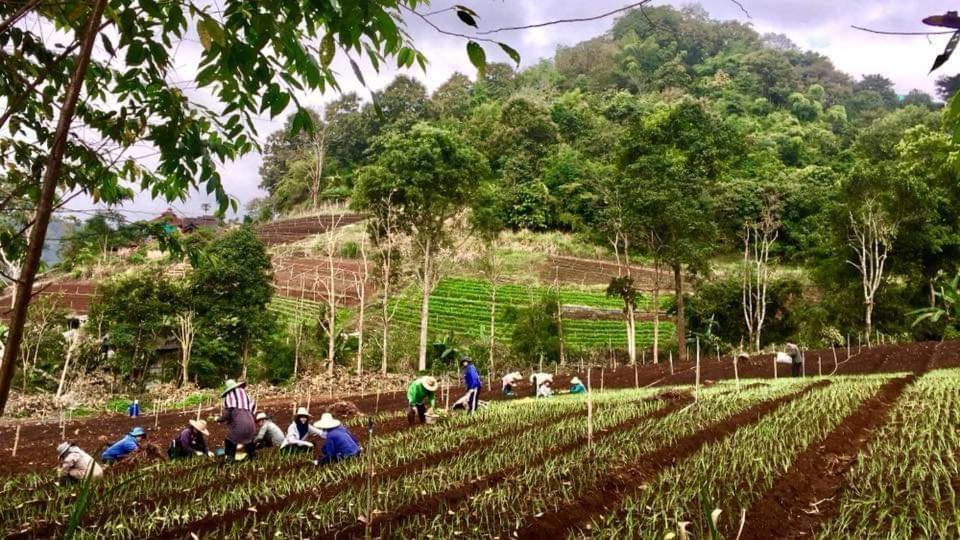 Mori Natural Farm
