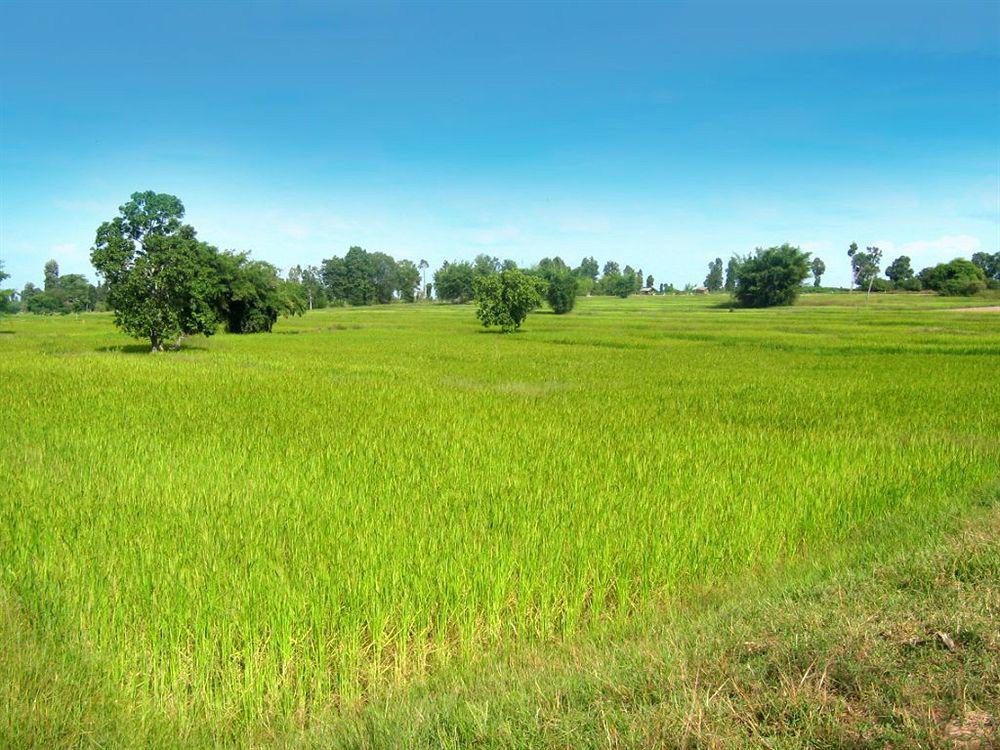 Assaradevi & Resort 4*