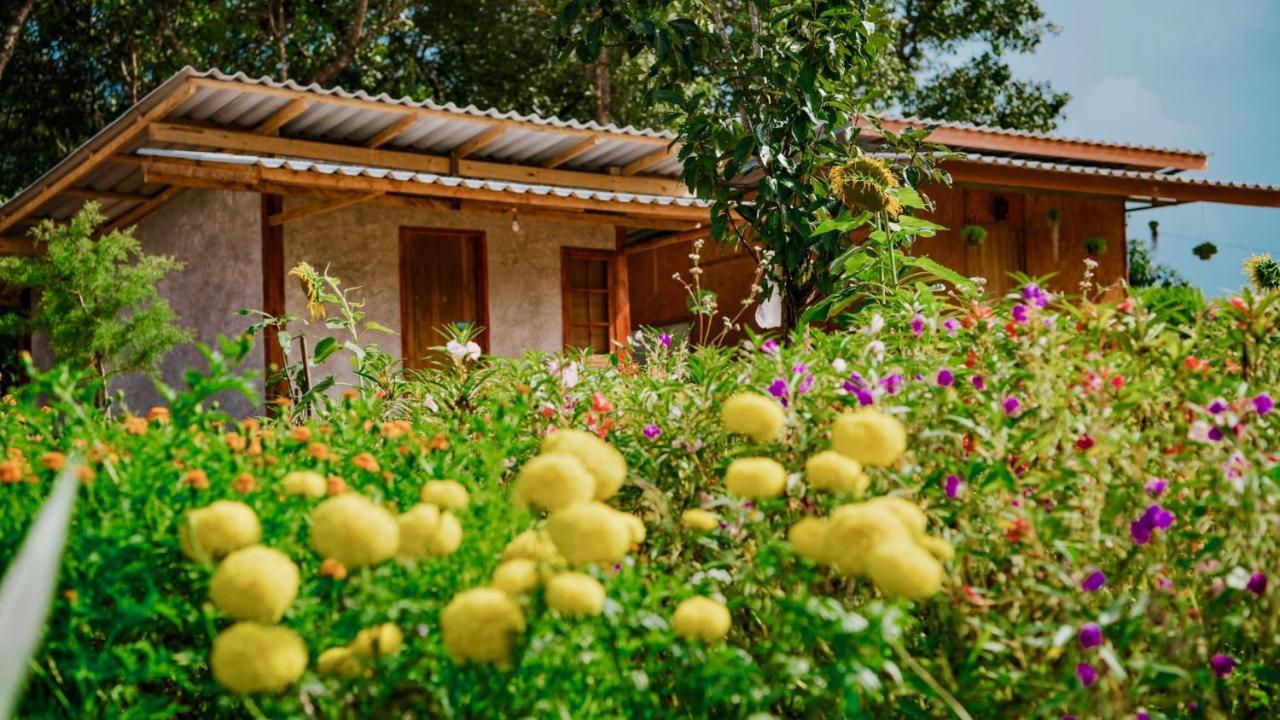 Mint Homestay Hospedagem domiciliar