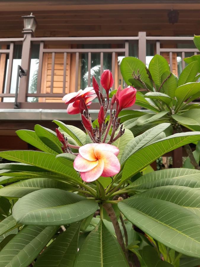 Inn Liam's Adults Only Chiang Mai