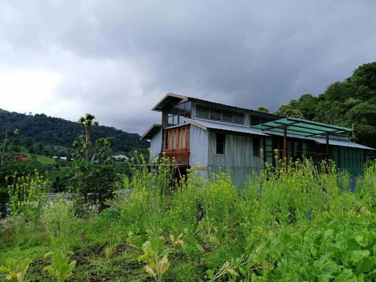 Mori Natural Farm * Chiang Mai