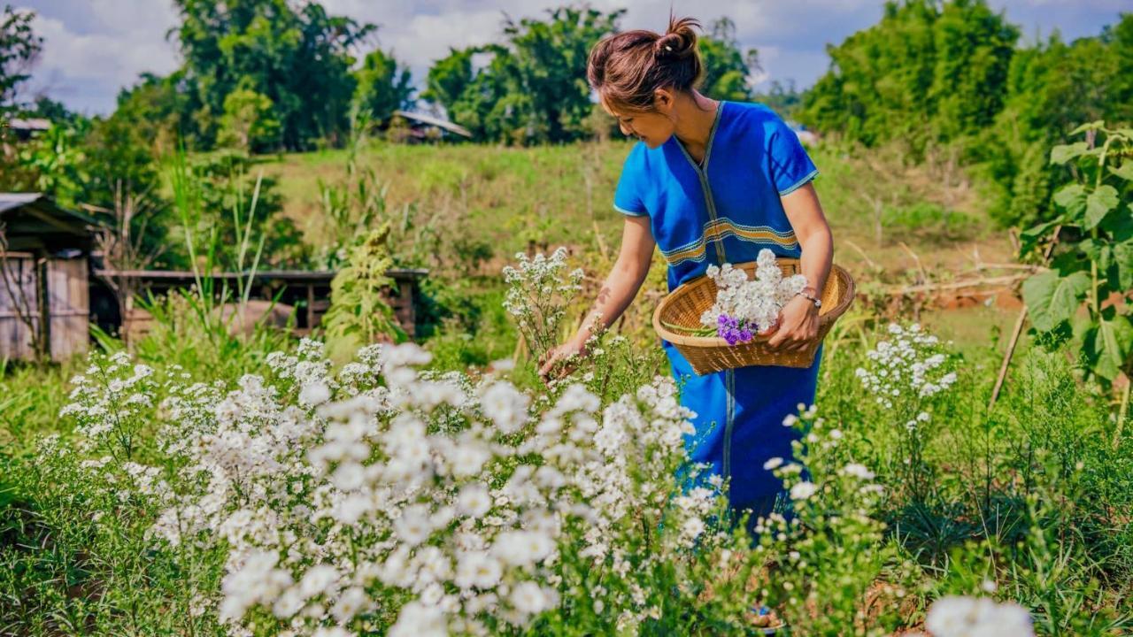 Mint Homestay * Chiang Mai
