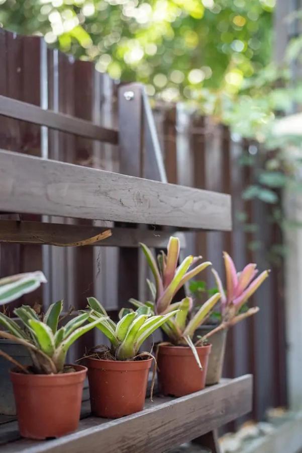 Loft Style Townhouse Near Old Chiang Mai