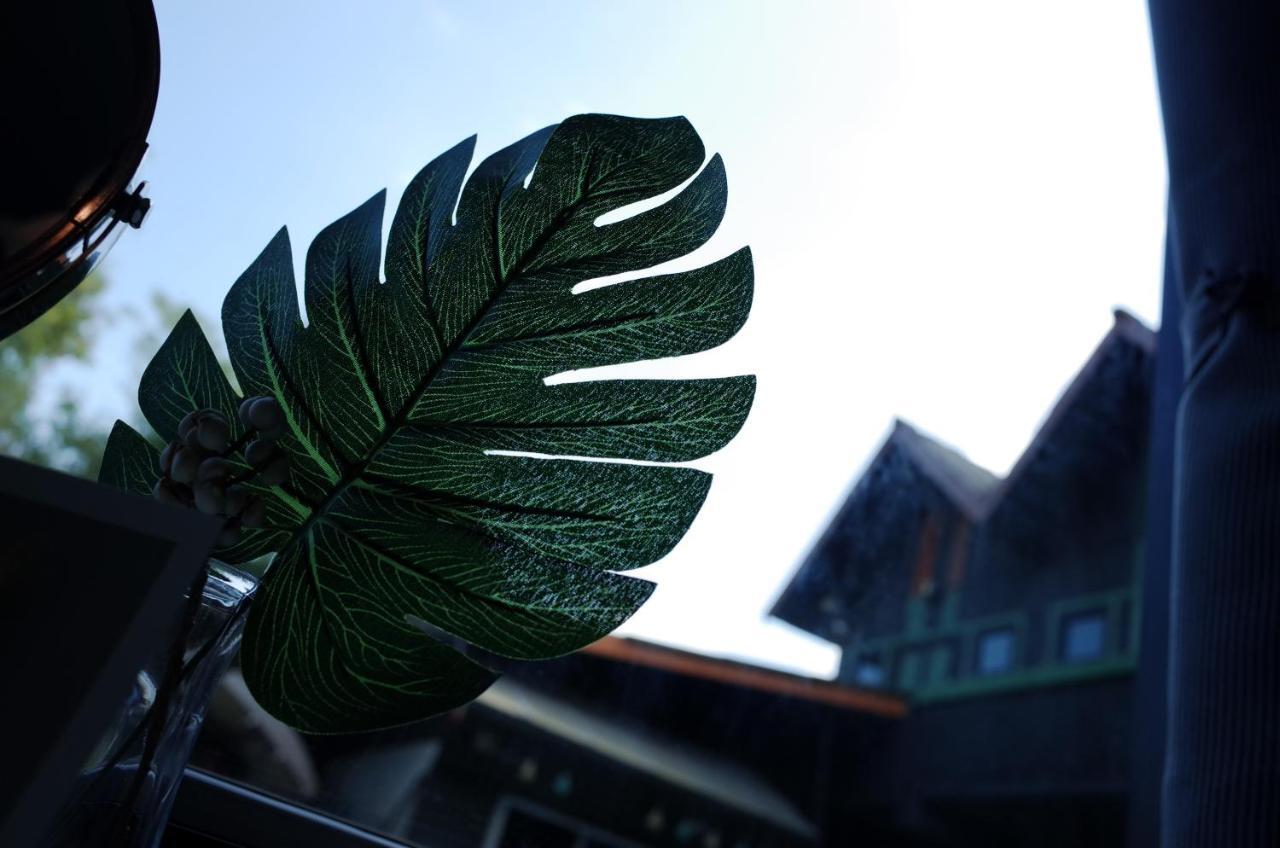 Chiangmai Moli (adults Only) *