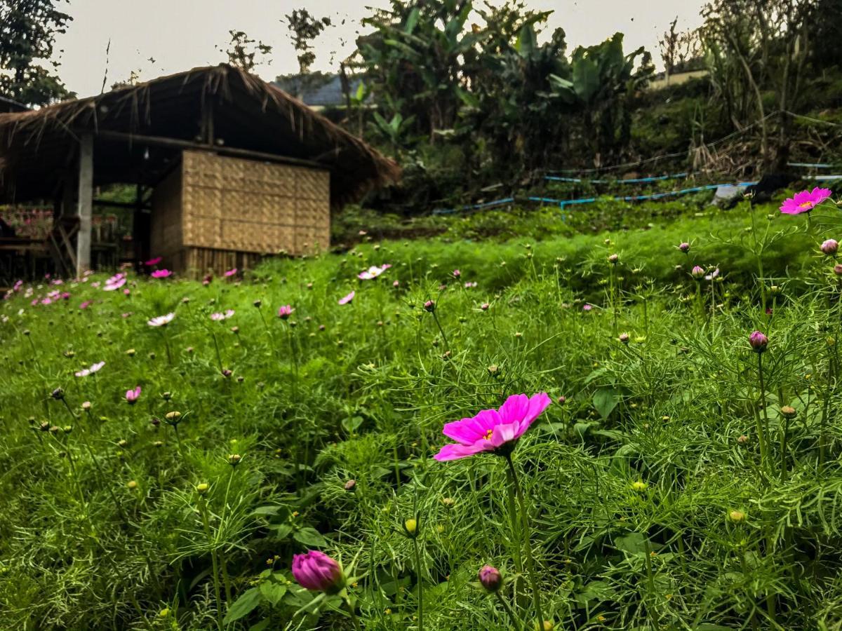 Father's Garden Inthanon *