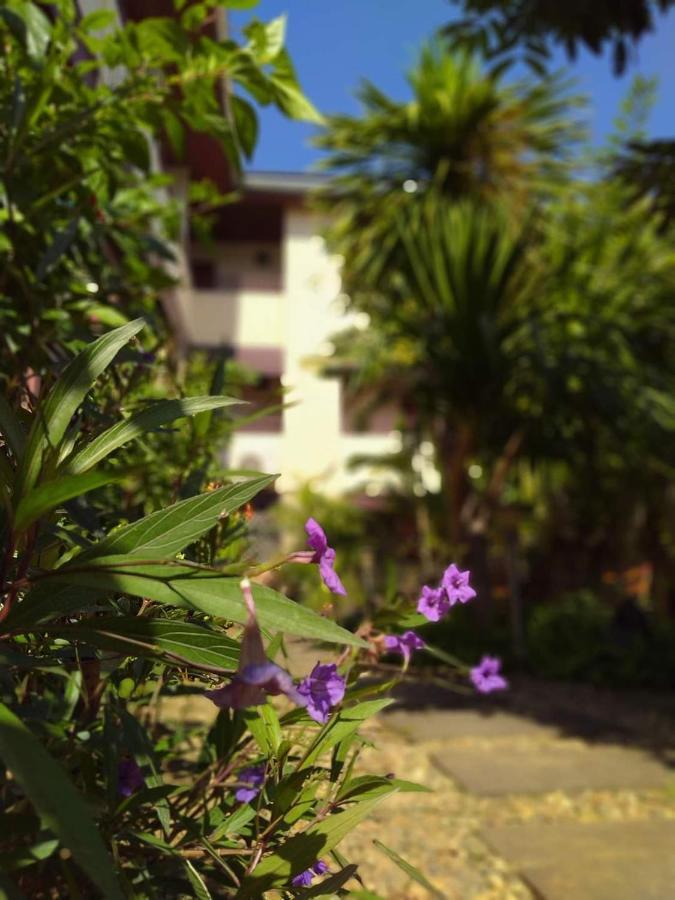 Guest house Sukhothai House Chiang Mai