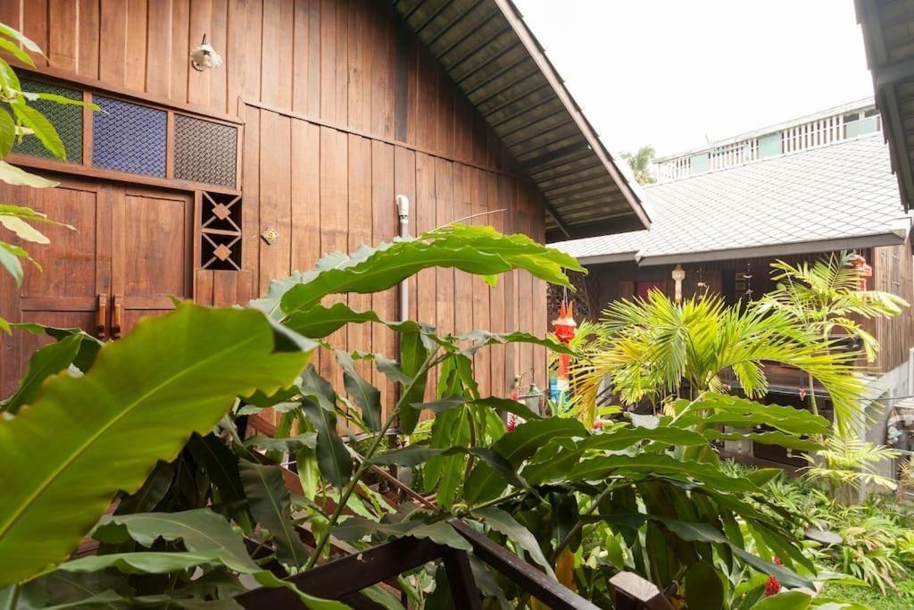 Summer Chiang Mai