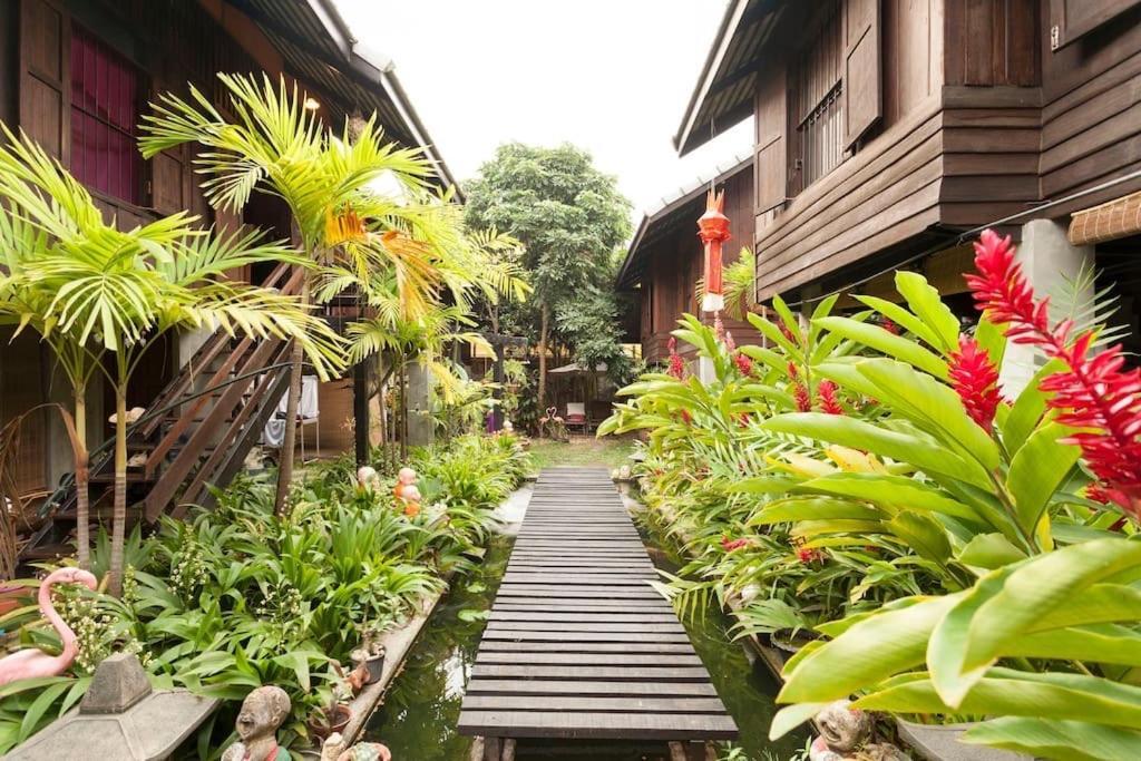 Summer Chiang Mai