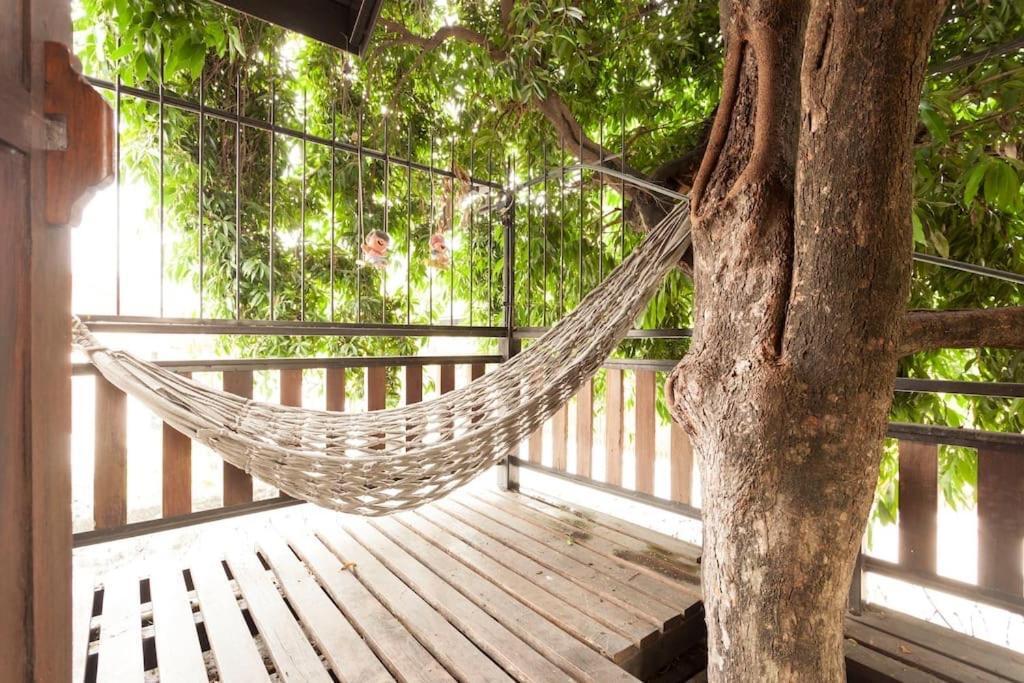 Summer Guest house *