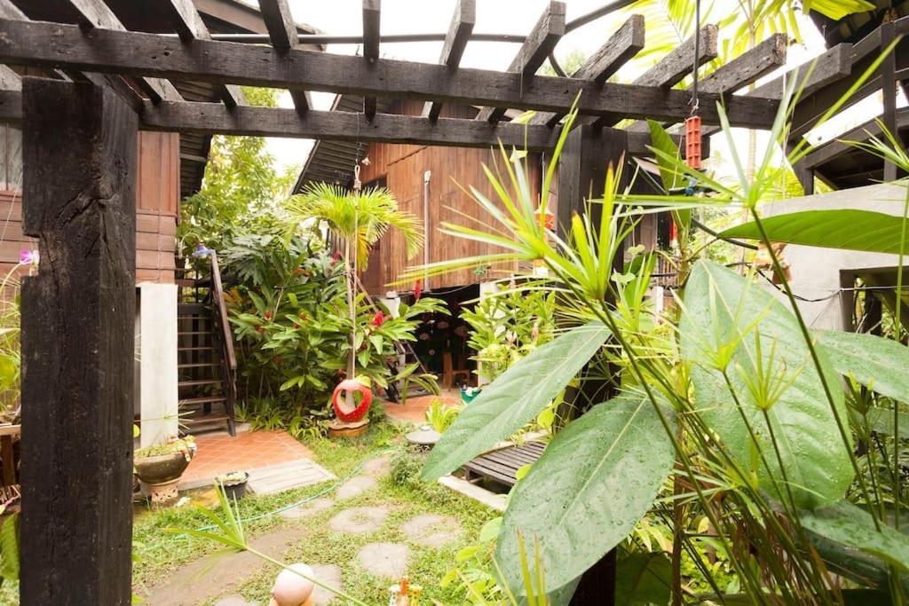 Summer * Chiang Mai