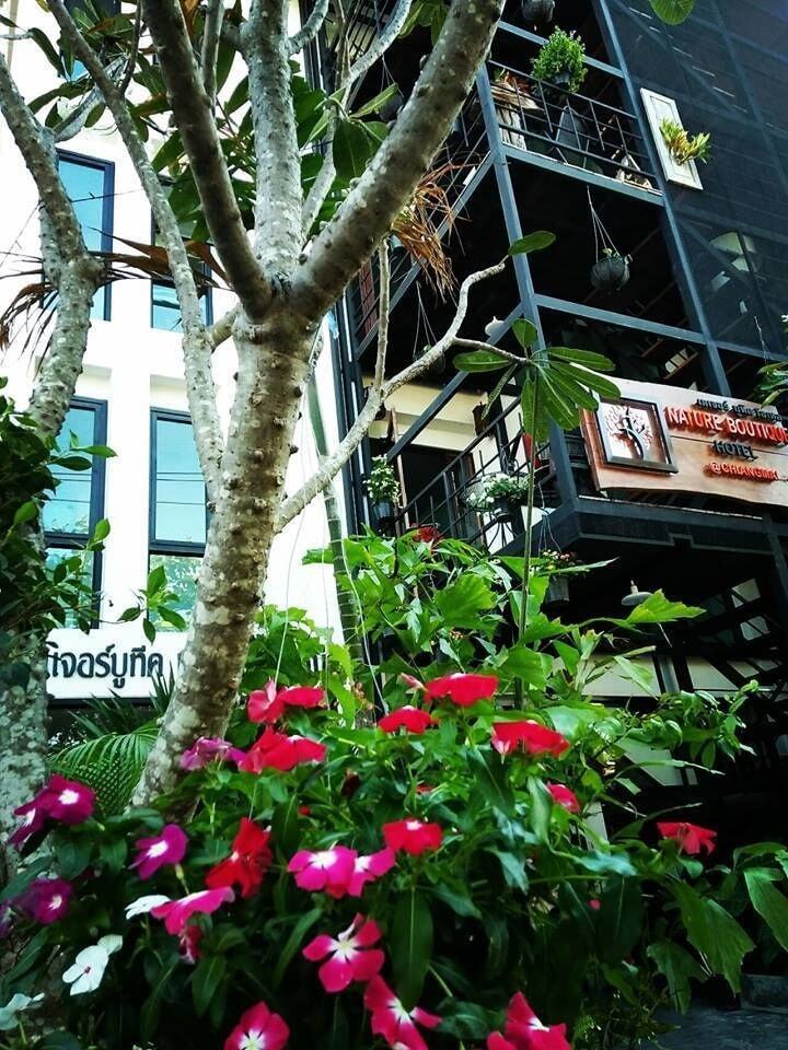 Nature Boutique @ Chiangmai Hotel 3*