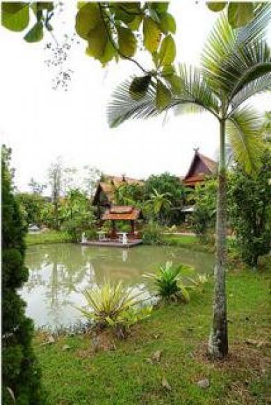 Viewdoi Art And