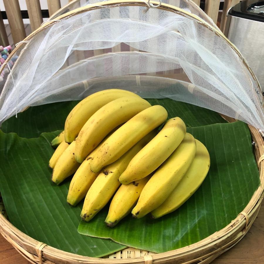 Sylvis Chiangmai Chiang Mai