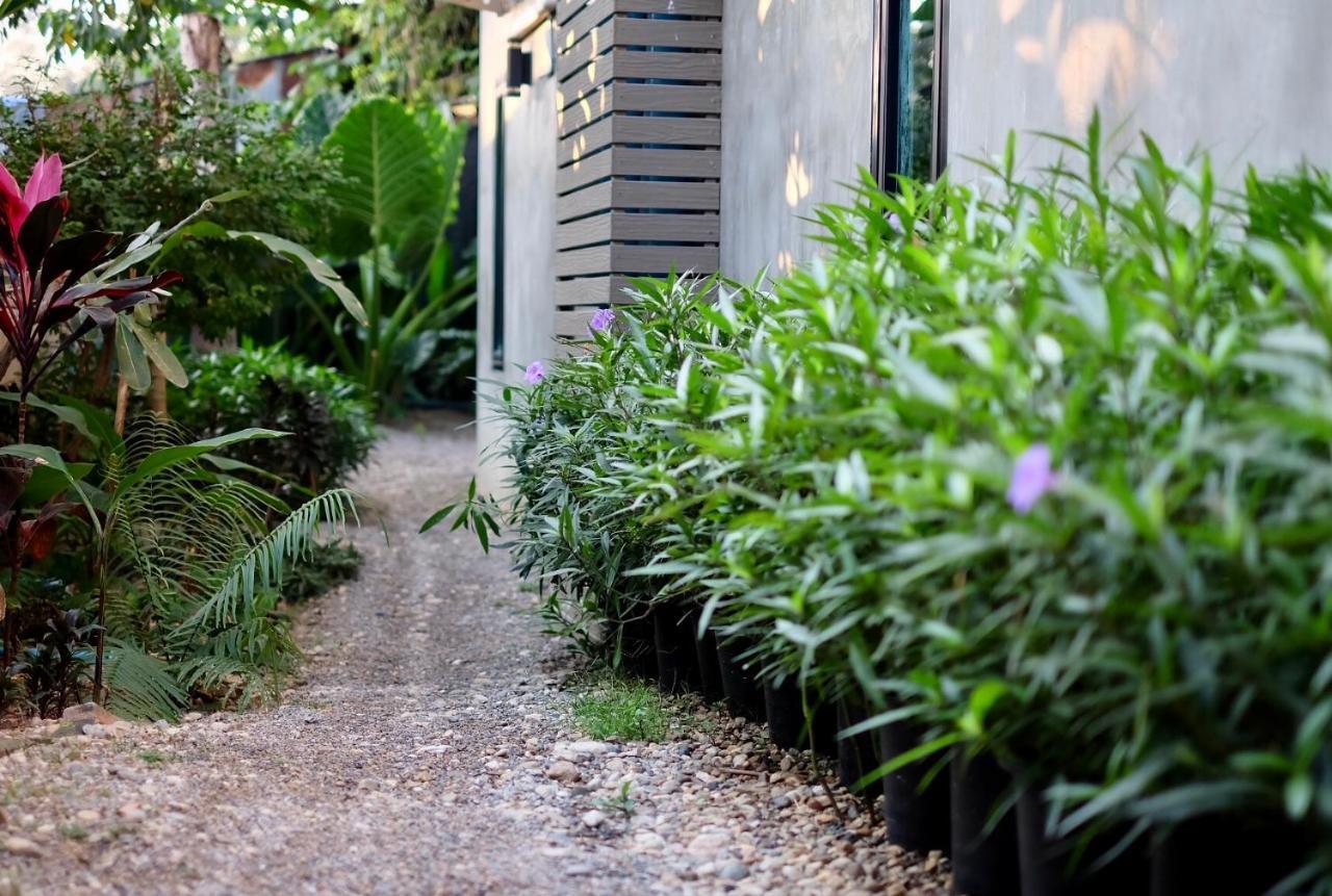 Guest house Kittawan Home&gallery