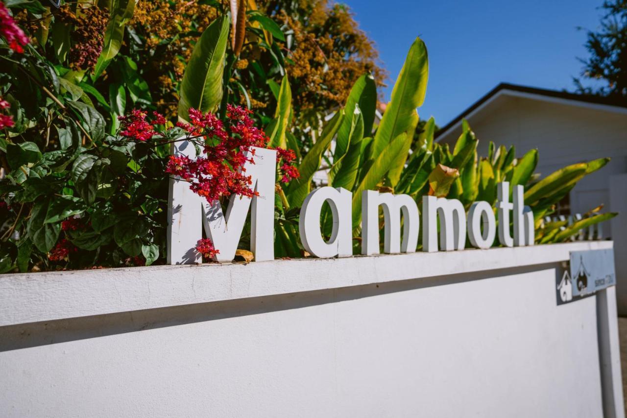 Gasthuis Mammoth Boutique