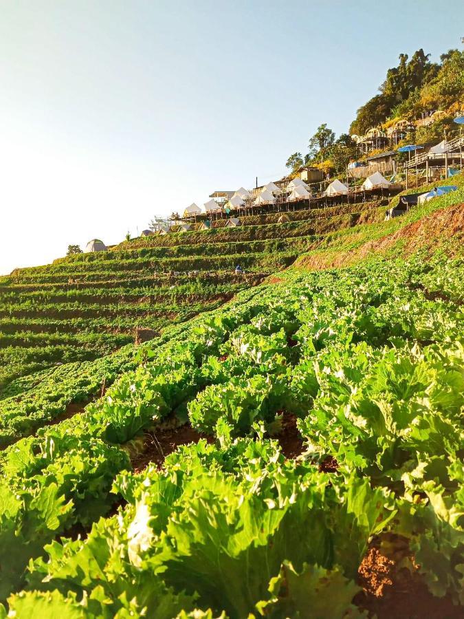 Phutonso Hospedagem domiciliar