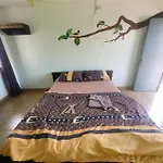 Psiloceye Weed Bar Restaurant & Guesthouse