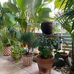 Booming House 清迈布鸣别墅