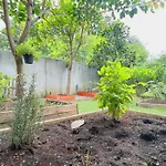 Ai Guesthouse