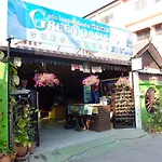 The Green Oasis