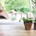 Squirrel Hostel